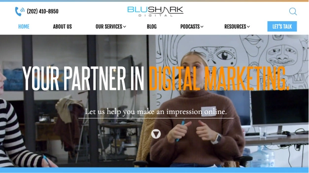 BluShark website screenshot