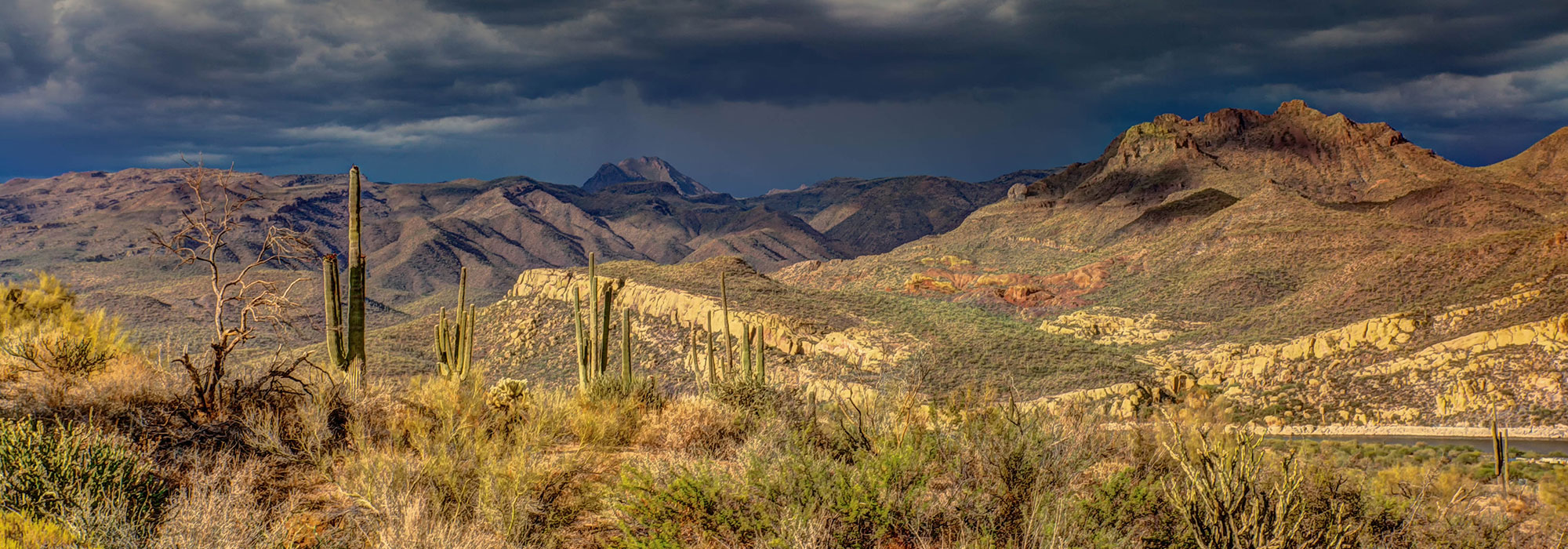 The vast Sonora Desert region in Arizona as a storm approaches on a sunny afternoon; Arizona Law Firm Marketing concept image