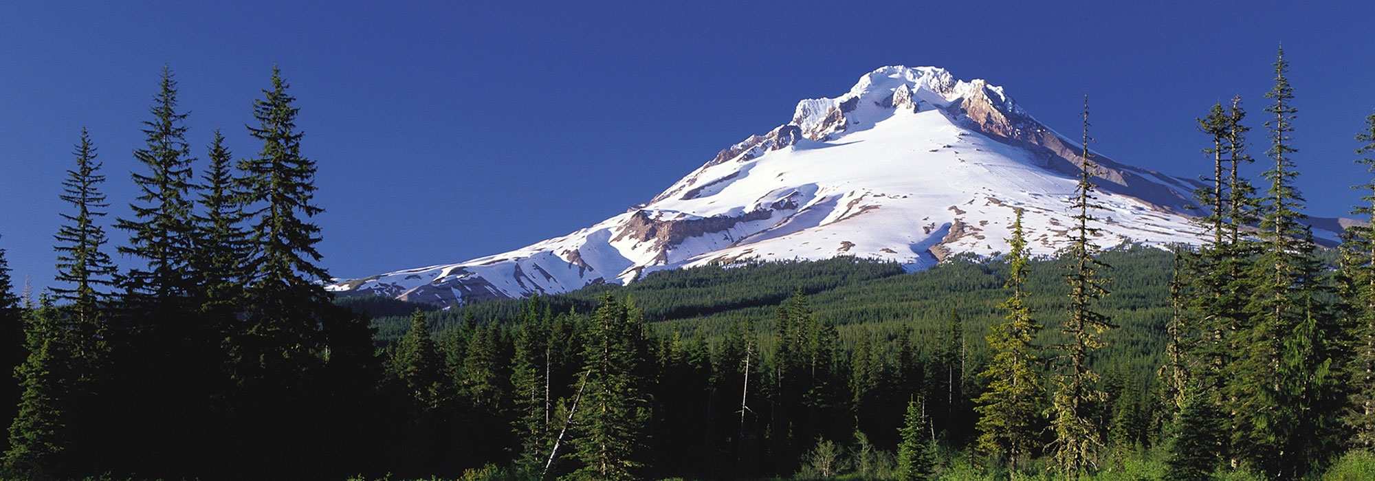 The snowy white cap of Mount Hood in Oregon
